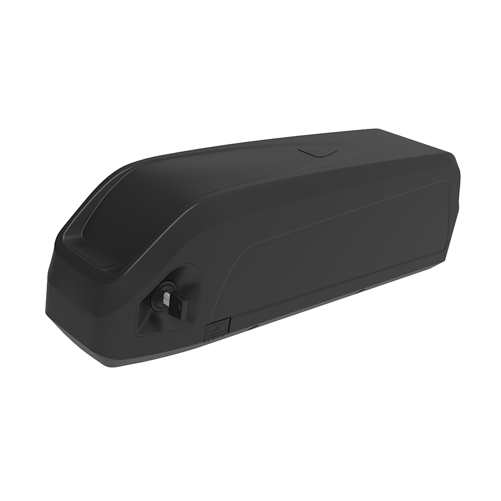Hailong G80 EBike Battery 48V 20Ah For Motor Under 1200W